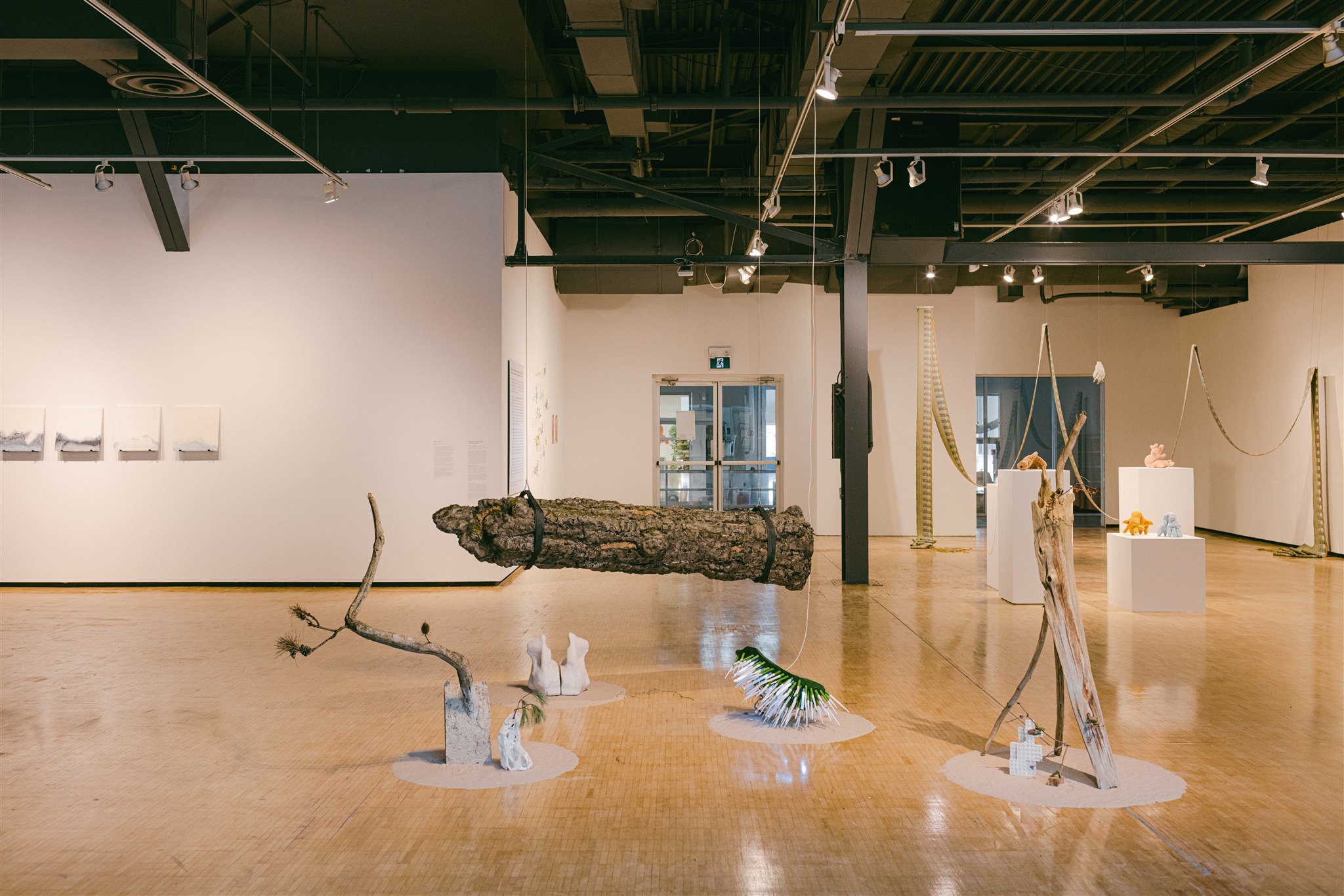 Mixed media installation with floating log, branches, and various sculptures