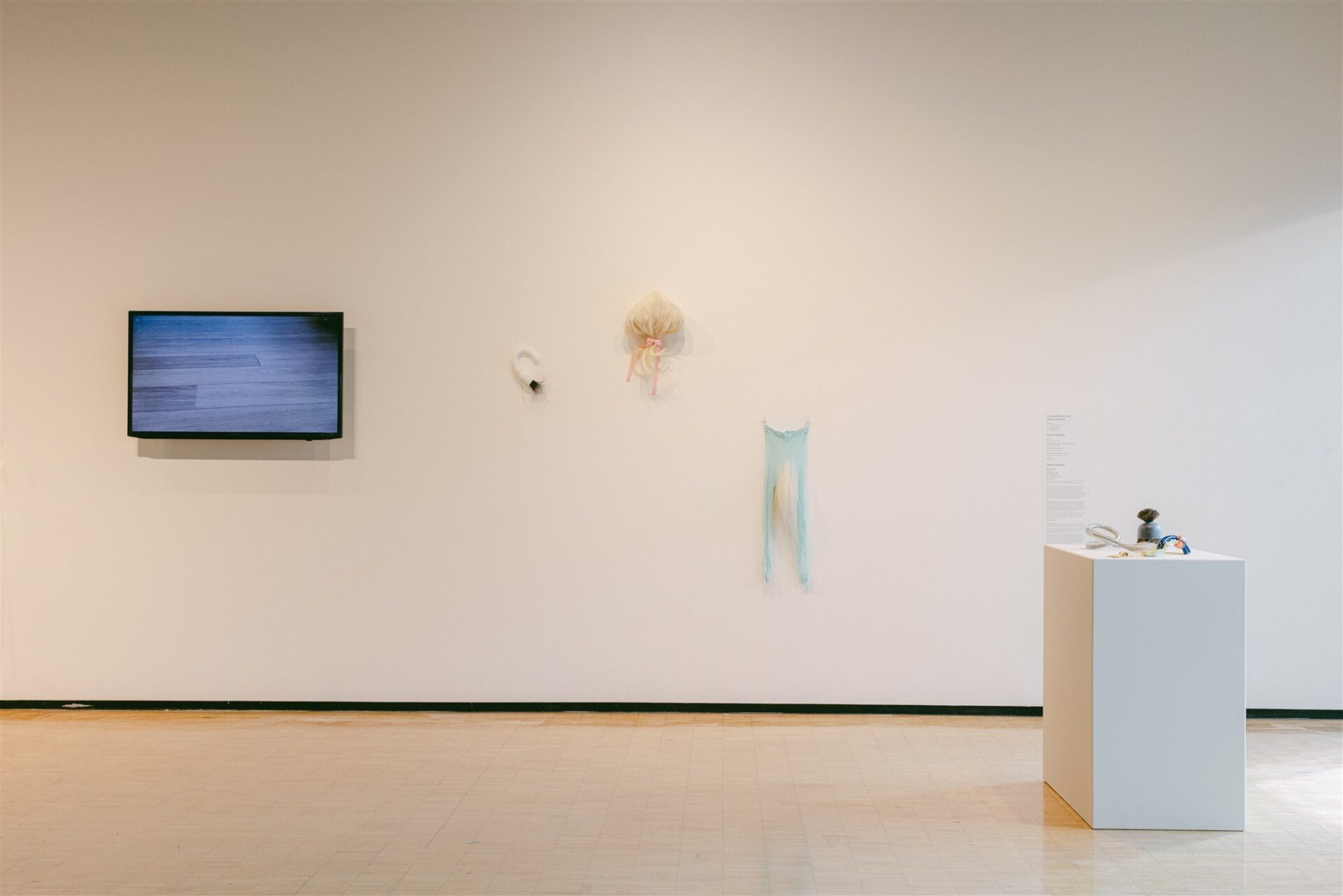 Wall-mounted video and soft sculptural works with a display pedestal