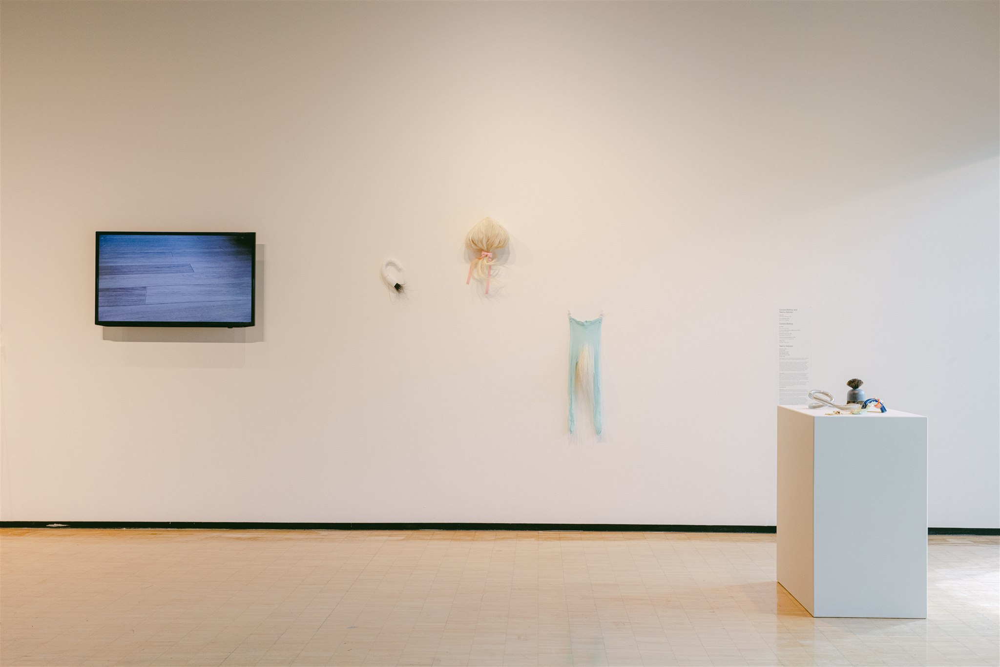 Wall-mounted video and soft sculptural works with a display pedestal
