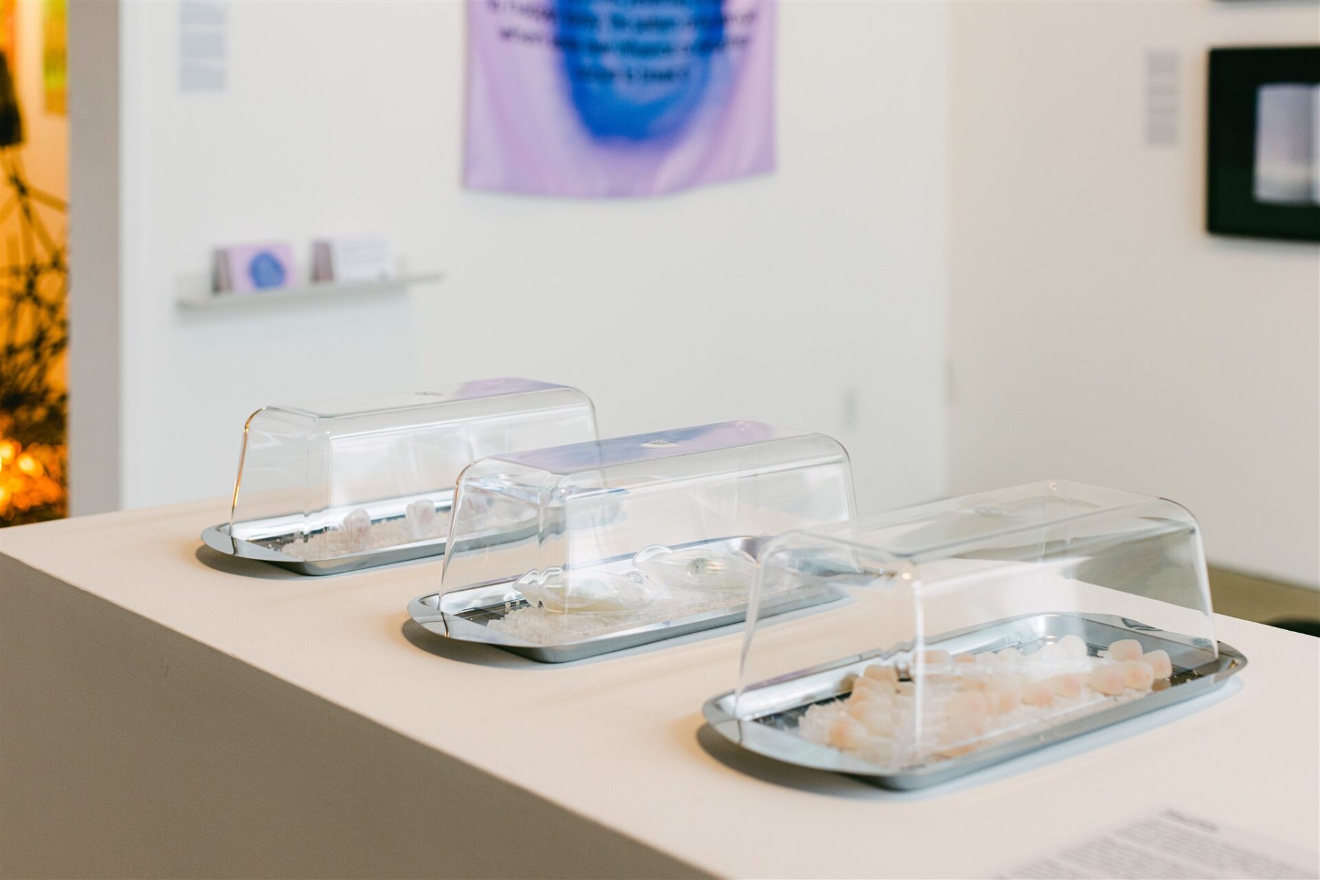 Three clear trays on a pedestal, each holding small white and pink objects