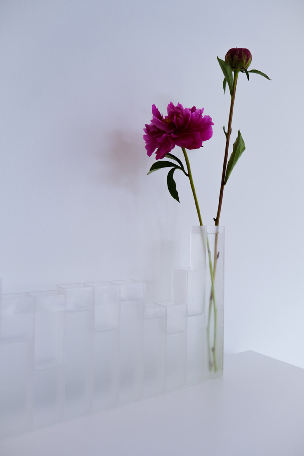 A translucent vase sectioned into parts of varying heights holding a purple flower on a table set against a white wall.