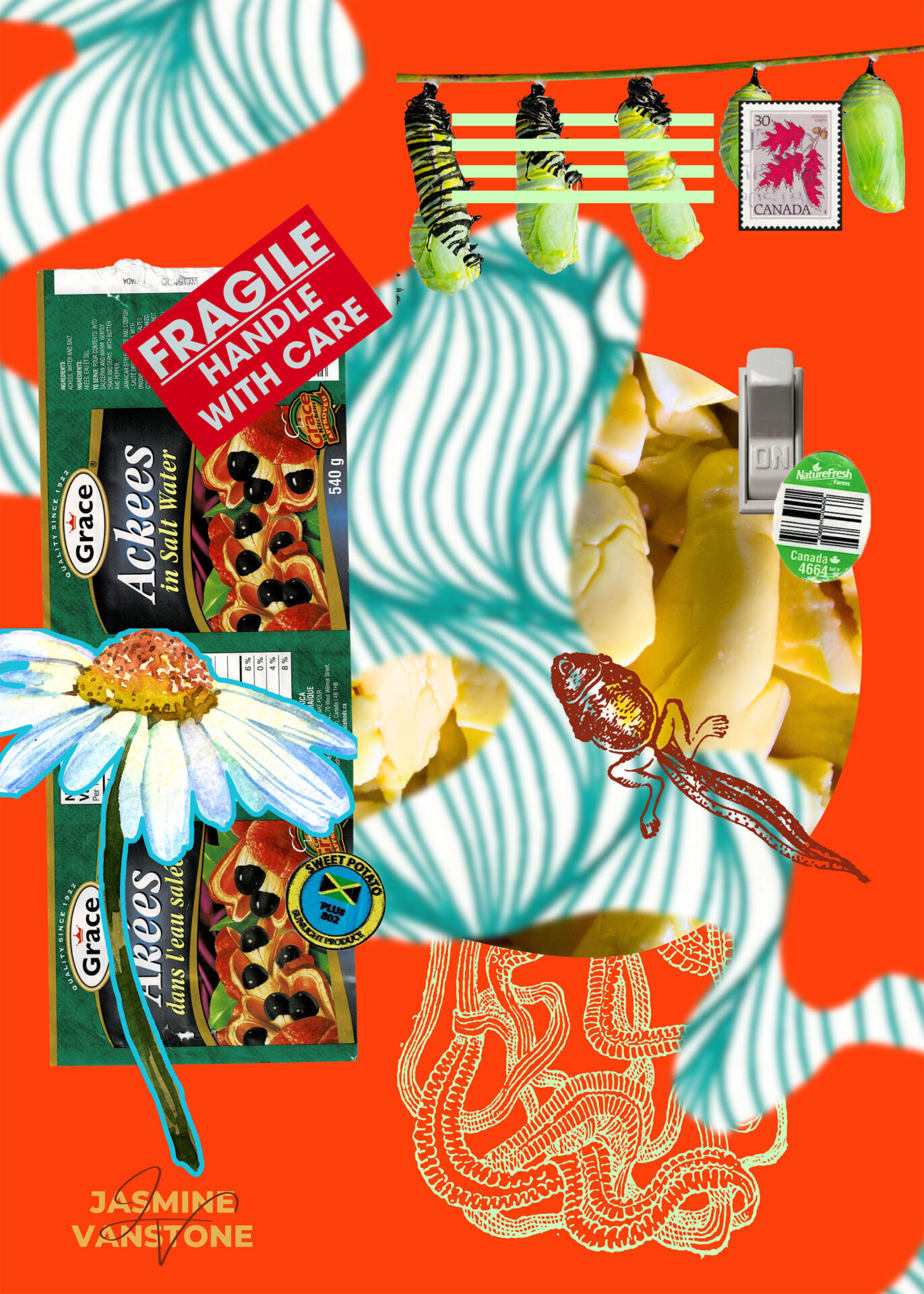 A mixed media collage featuring elements that draw inspiration from Caribbean culture.