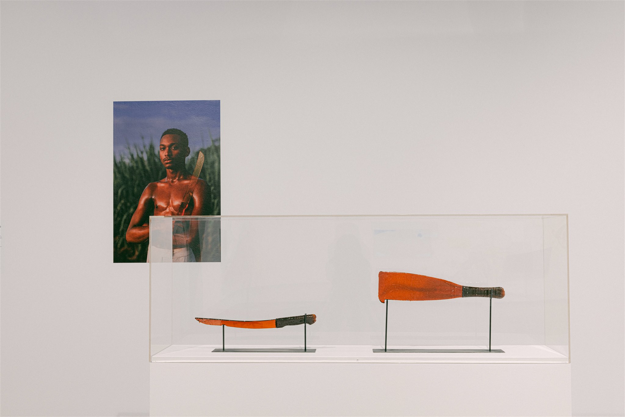 Two red machetes in a display case with a portrait of a man holding one