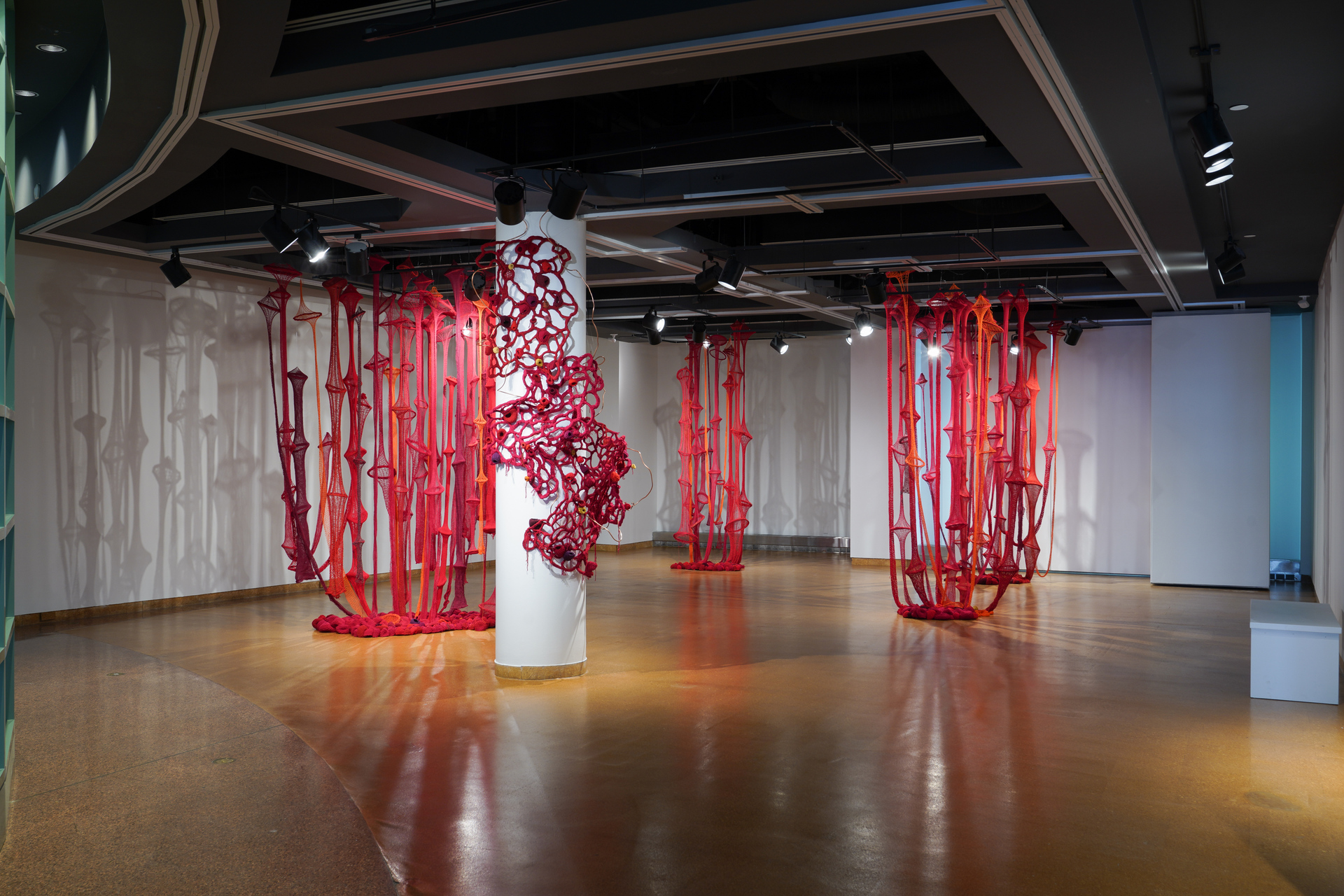 More than 100 long red knit tubes are suspended from the ceiling and pool on the floor.  On the floor are hundreds of small crochet pieces which resemble seeds.  There is also a pillar which has been wrapped with a three dimensional red spider web type material at the Ottawa City Hall Art Gallery