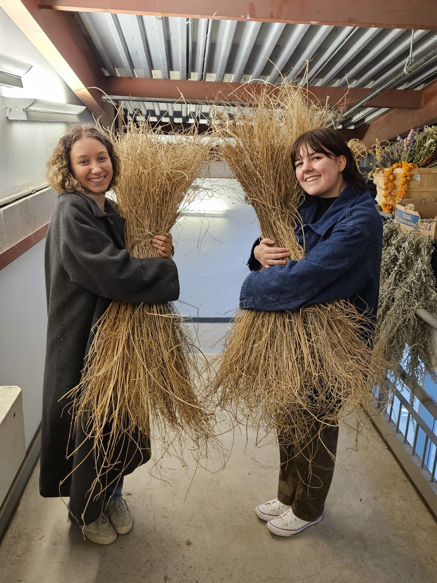 Two women holding bundles of dried flax plants