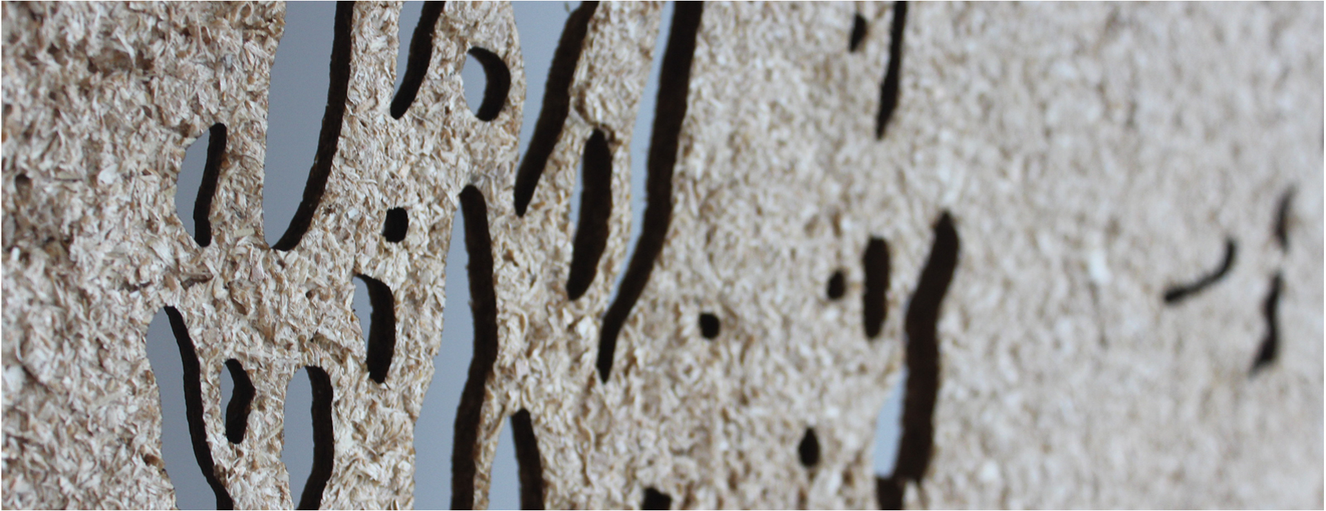 Beige panel made with sawdust and agar agar bio-composite with cut outs from ambrosia beetle boreholes. 