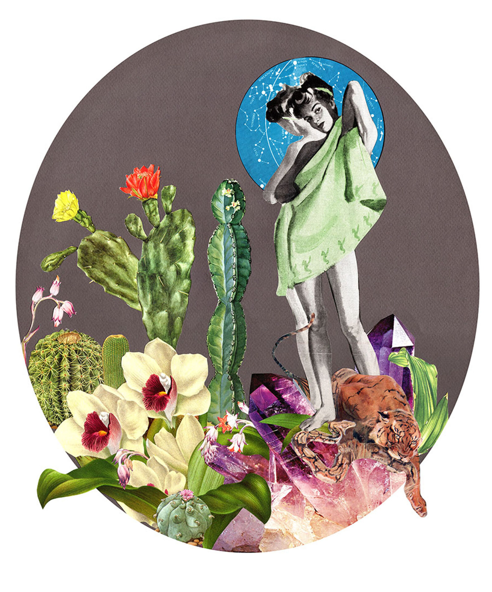 A woman with a towel around her surrounded by cactus and orchids a tiger killing a snake at her feet