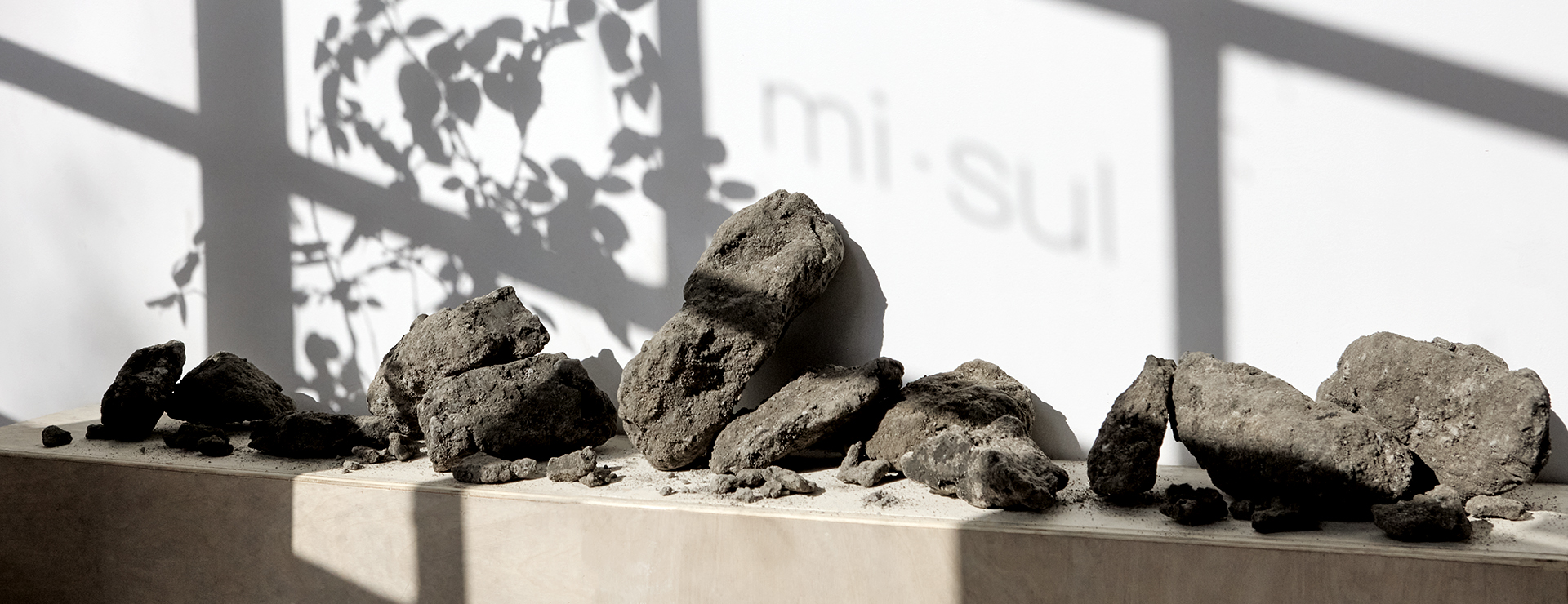 A display of chunky, dark grey-brown raw wild clay pieces arranged on a wooden ledge in bright sunlight, with shadows of leaves and the word "mi.sul" softly cast on the wall behind them. 