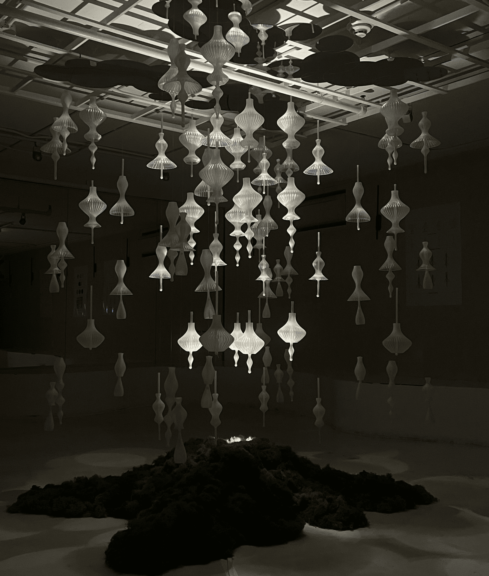 A softly lit installation fills a dim gallery room. From the ceiling hang dozens of delicate, translucent ornaments shaped like elongated flower buds or seed pods. They cascade downward in varying lengths, glowing faintly as they hover above a mound of lush green moss spread across the floor. A gentle light from within the moss adds a warm, organic glow, making the ornaments appear as if sprouting from the earth and reaching toward the ceiling. The atmosphere feels serene and alive, evoking natural growth and transformation.