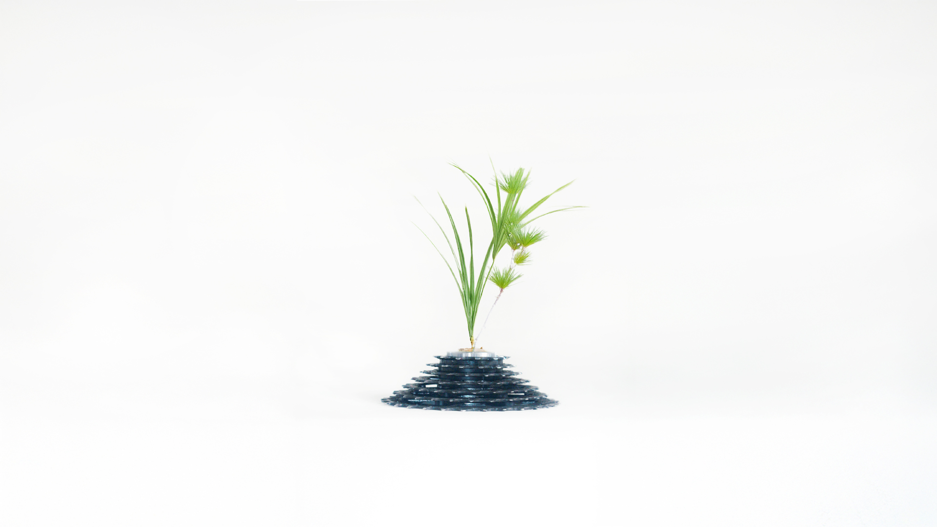 A minimalist studio photograph of a sculptural vase made from a tiered stack of dark bicycle sprockets forming a conical base, supporting a small arrangement of green foliage and pine branches.