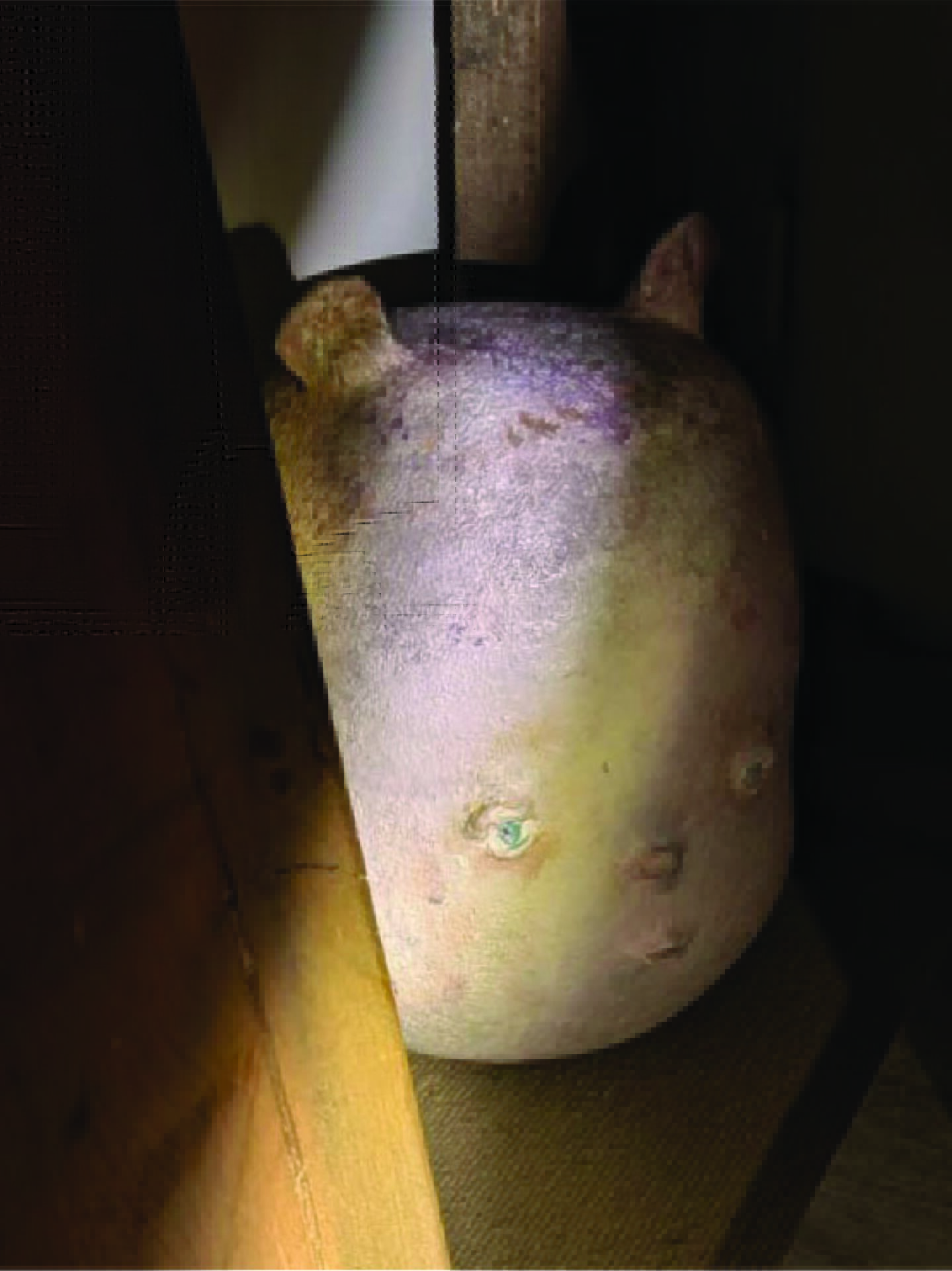 A ceramic figure hidden in the dark