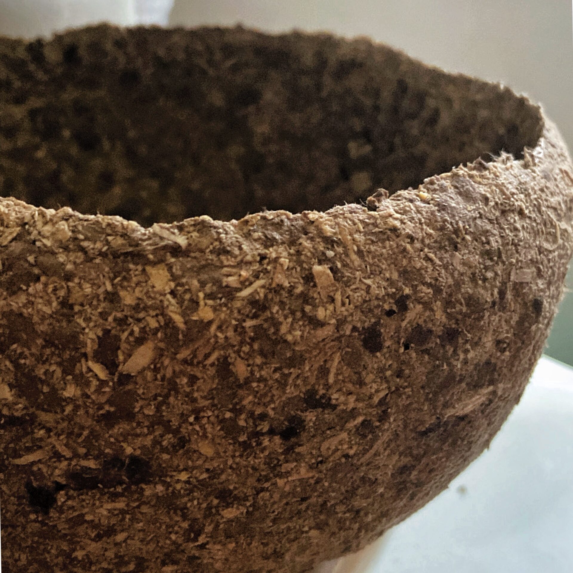 Bowl -Closeup of texture : cardboard pulp sawdust.