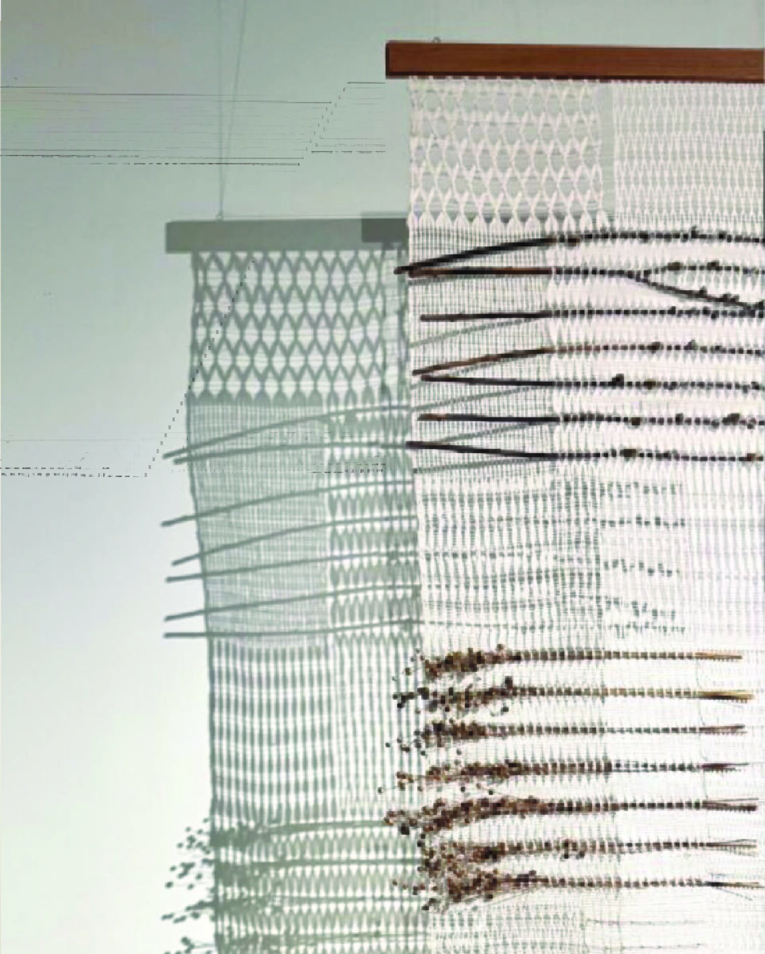 detail of openwork textile panel with plant insertions