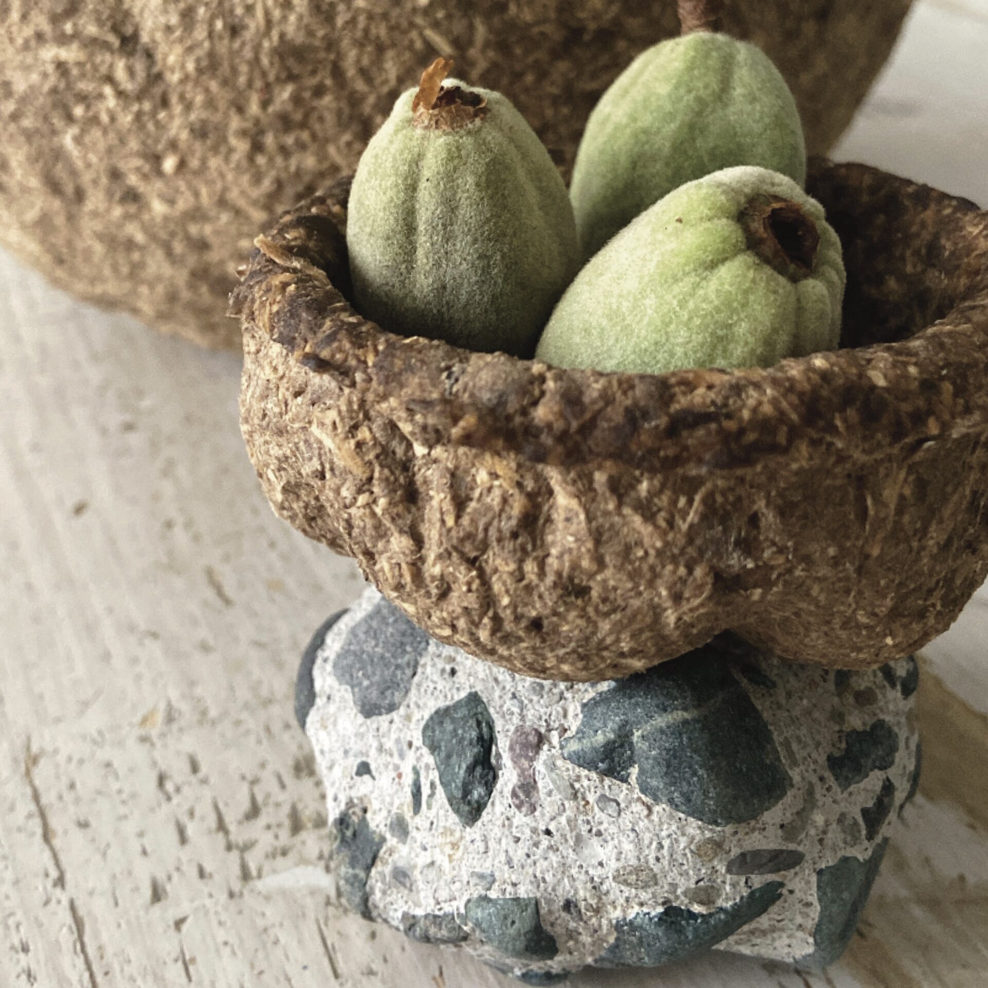 Small bowl Closeup of texture : cardboard pulp sawdust, stone.