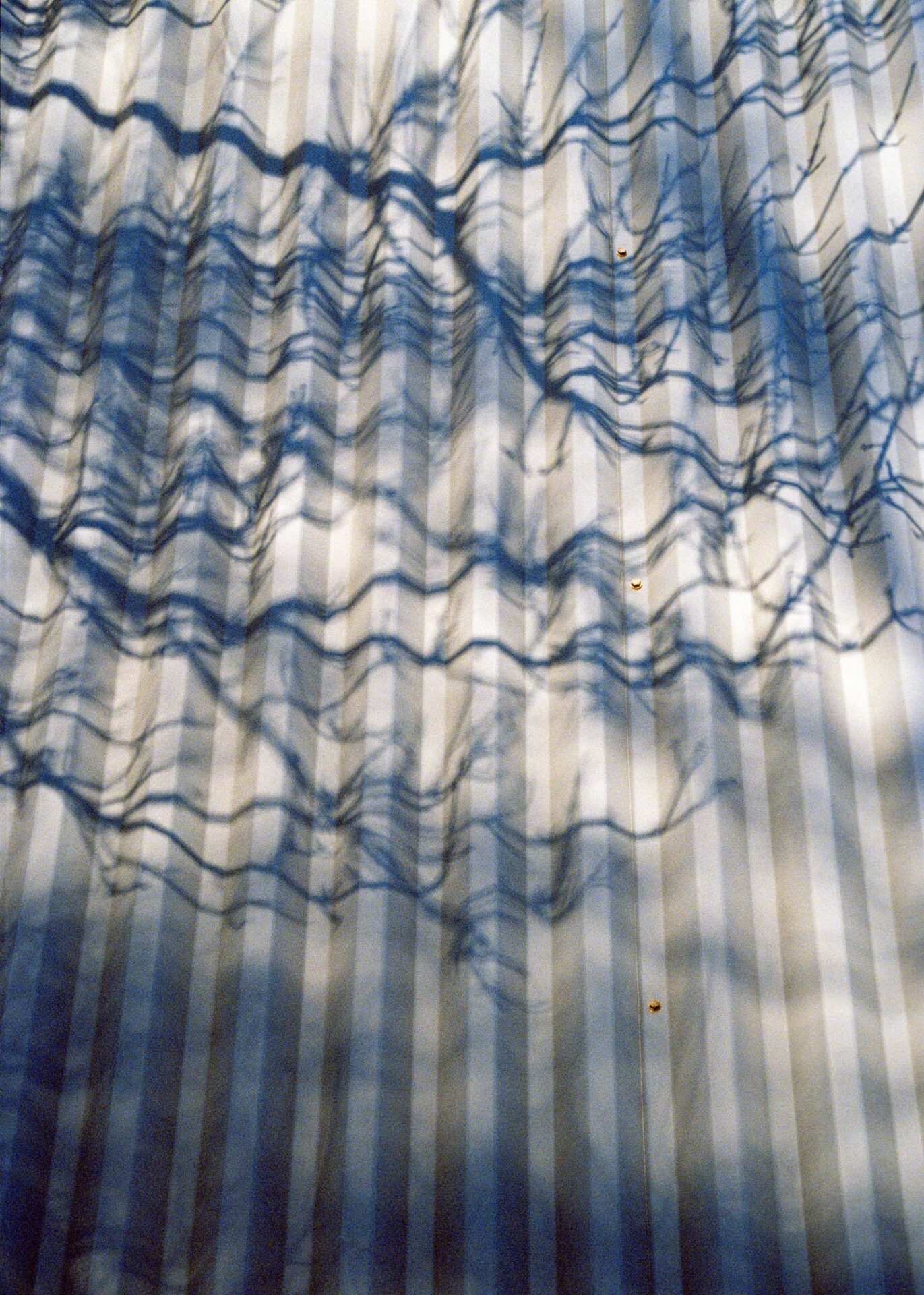 Shadow of tree branches on a corrugated surface.