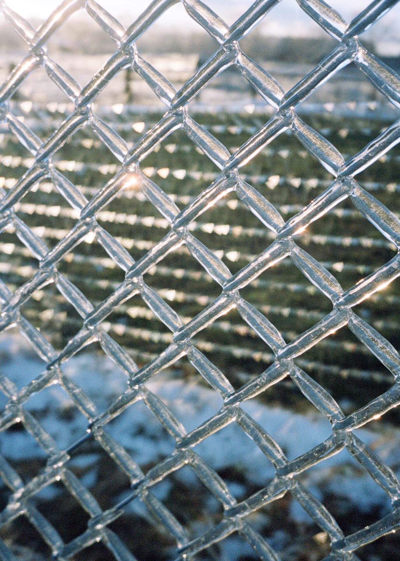 Icicles on a chain-link fence.