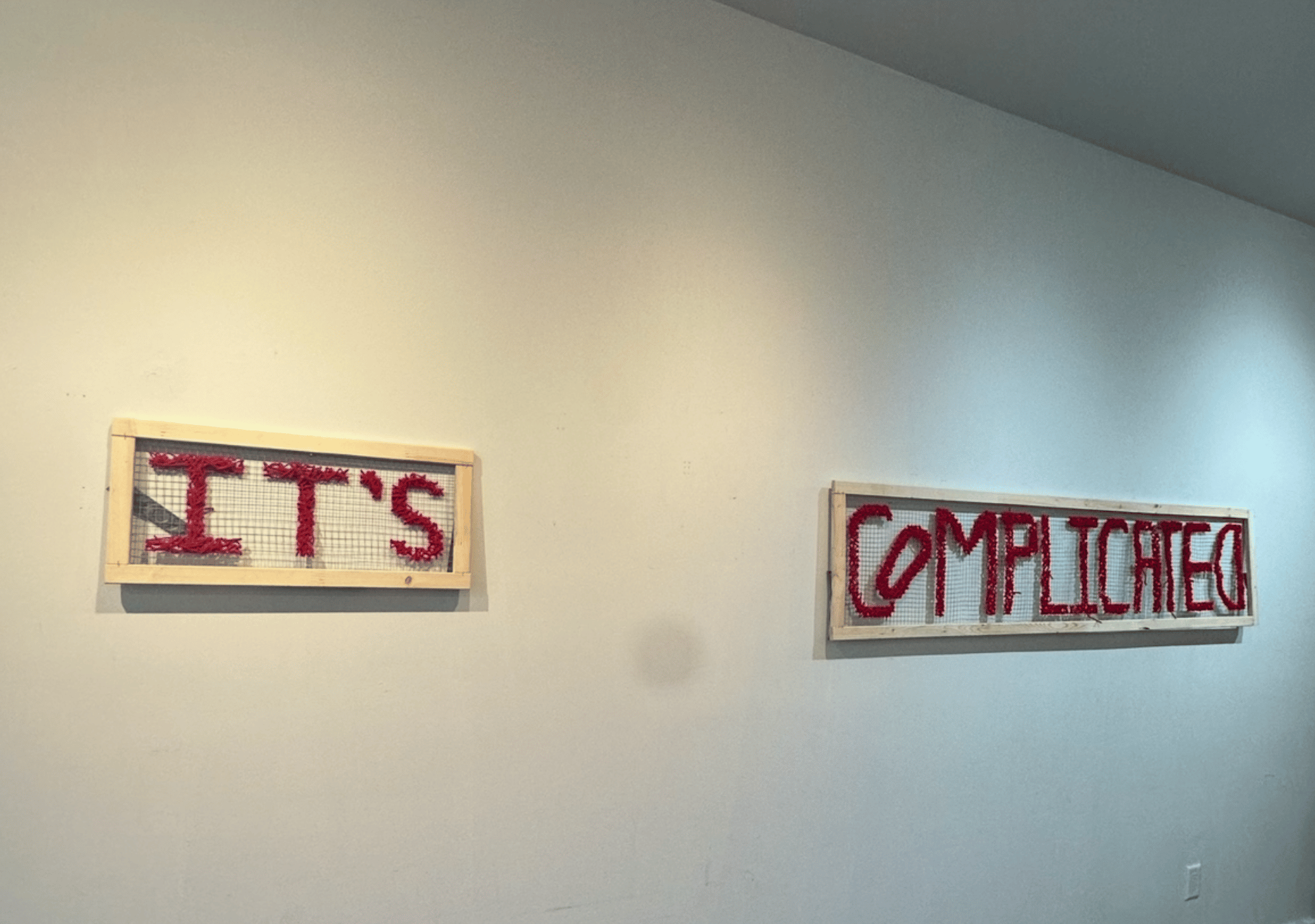 Two wooden-framed panels mounted on a wall, each covered with wire mesh. Red thread is intricately knotted to form the words “IT’S” and “COMPLICATED.” The piece visually conveys tension and connection — threads of identity intertwined, representing the complexity of cultural belonging and emotional distance.