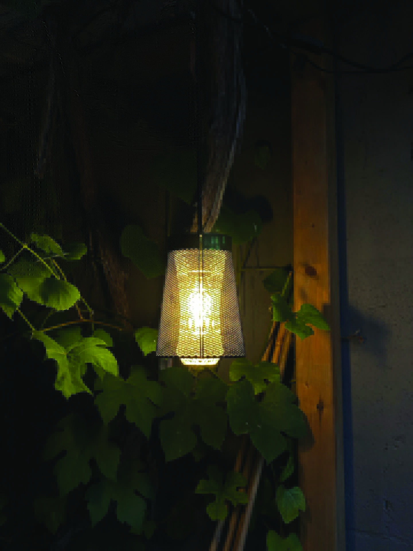 One suspended light amongst trees.