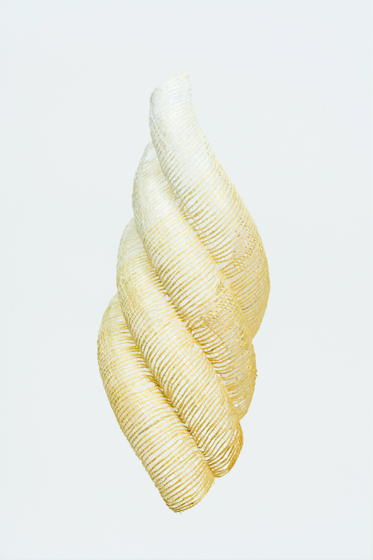 Translucent mesh ribbon twisted into a vertical spiral, cream to pale gold, on a white background.