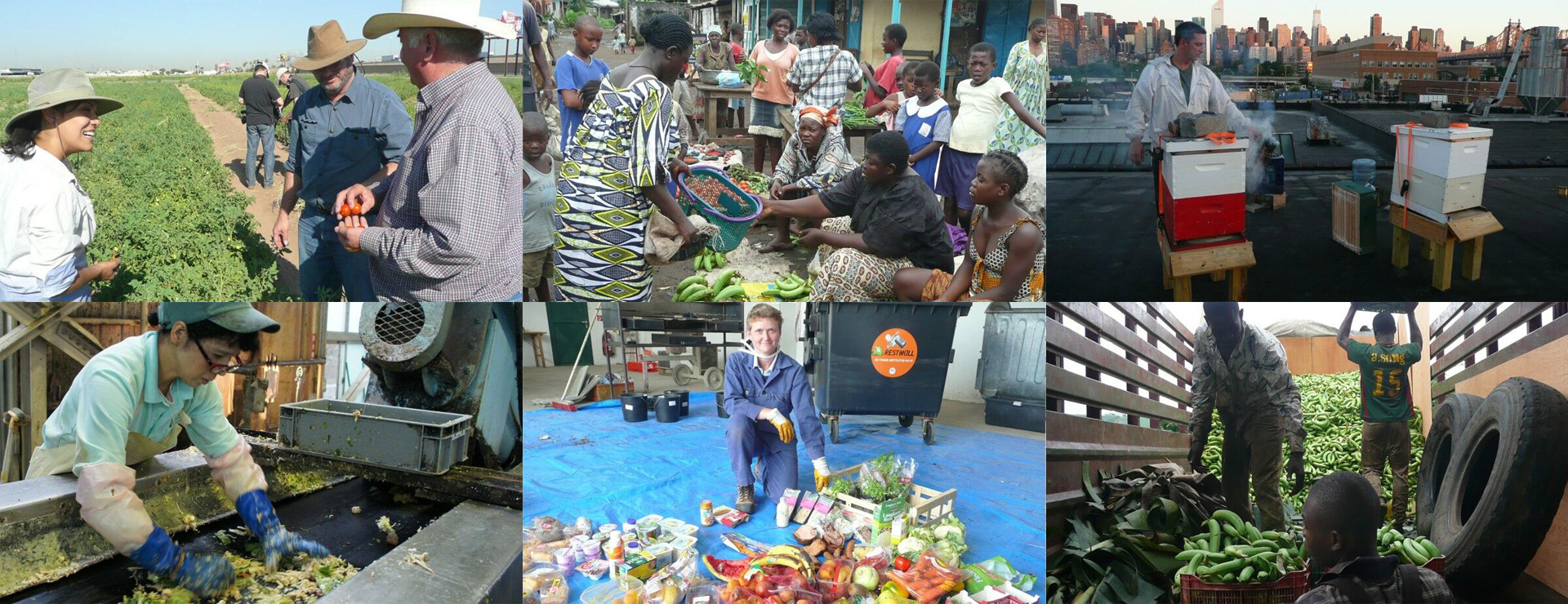 A grid of six images with fresh food, food waste, farmers, street market and bee hives.