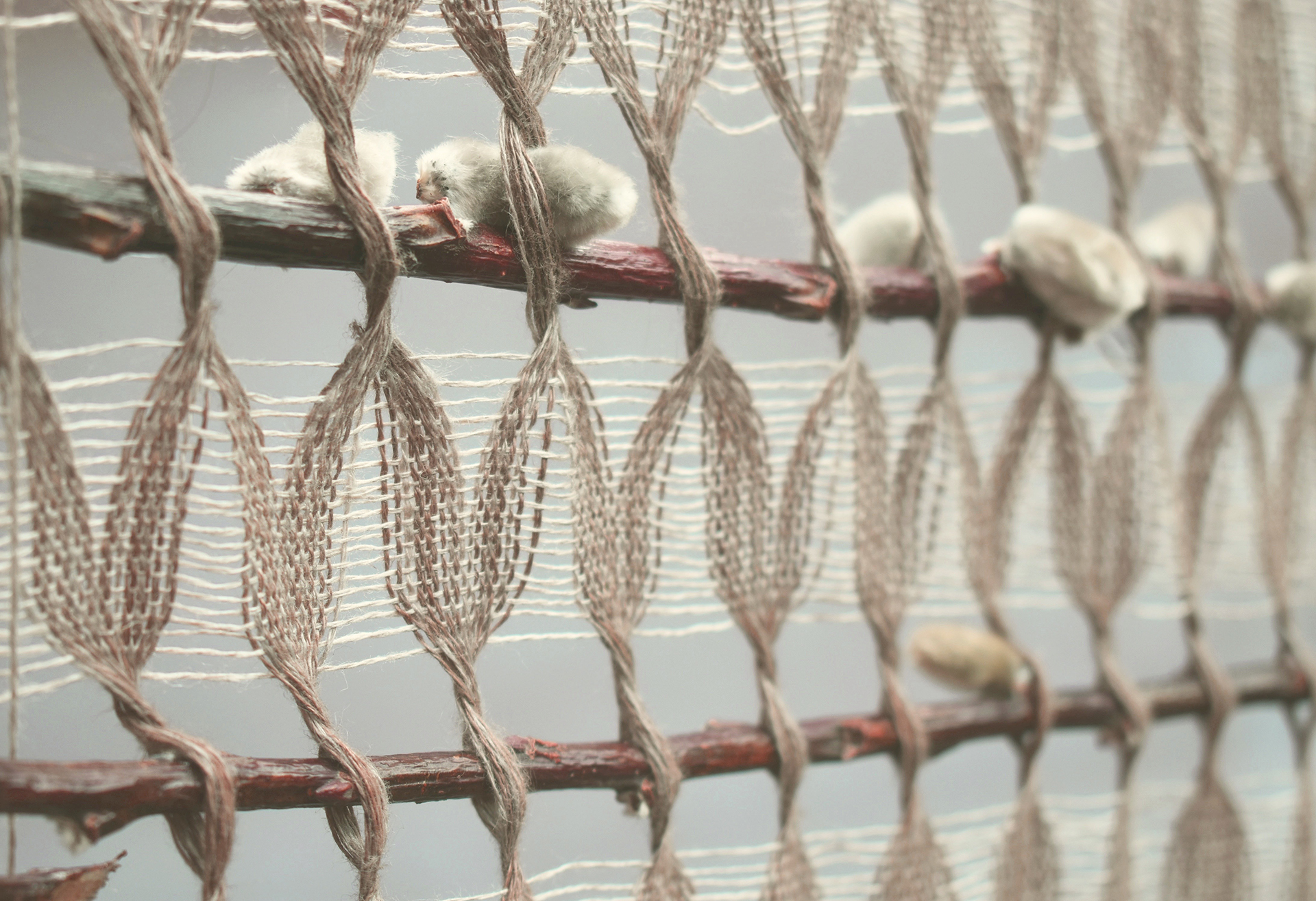 Open weave linen textile with embedded Salix branches