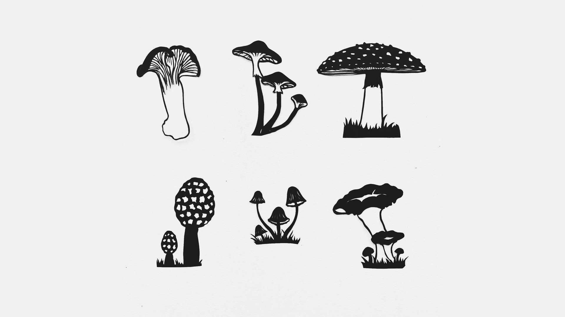 Biophilia