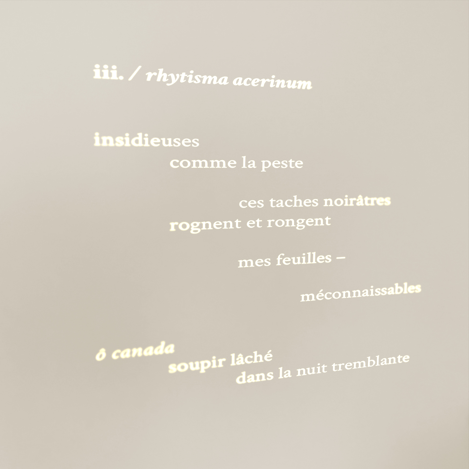 detail of the mémoire installation, poem by Paul Ruban