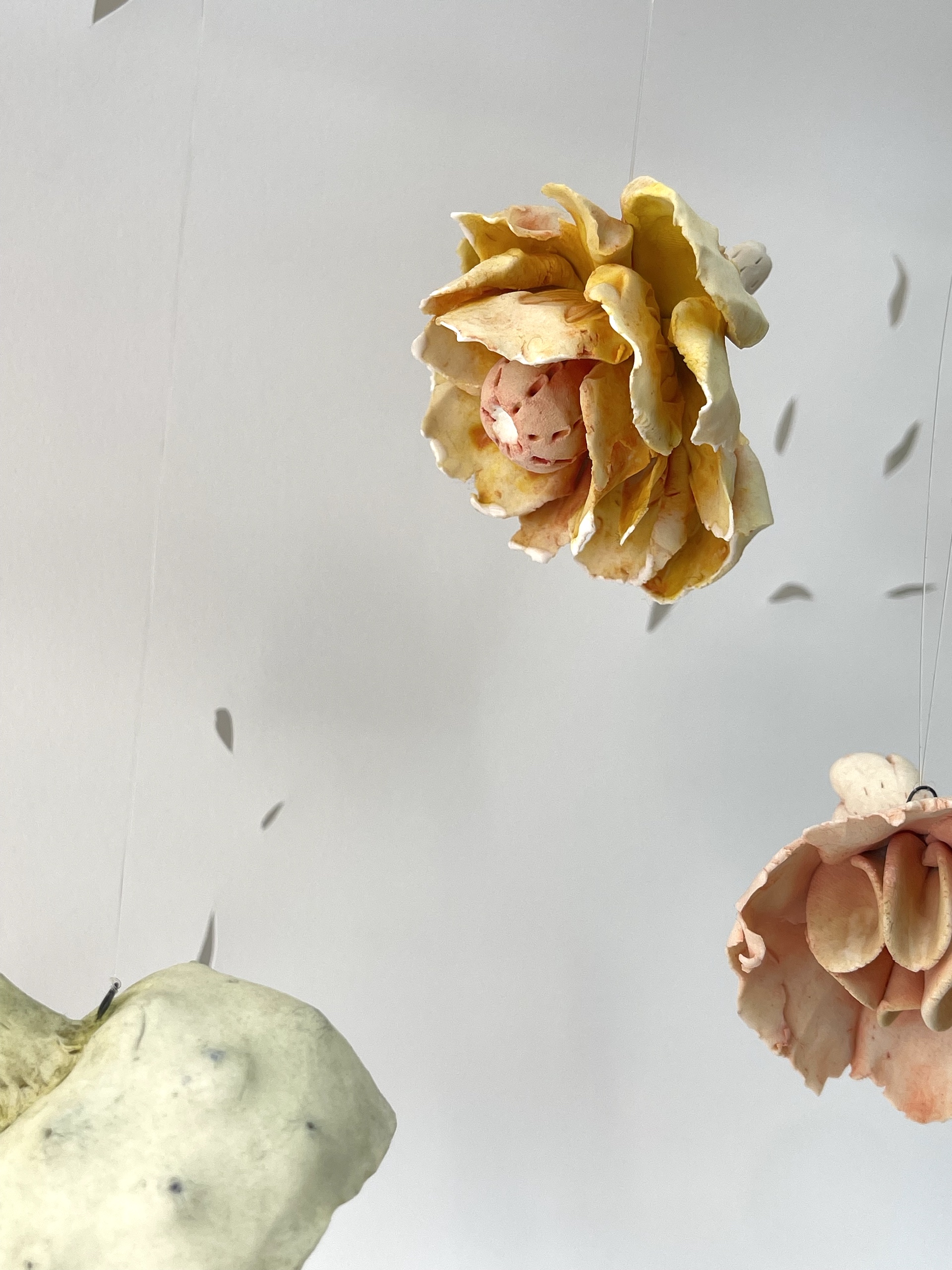 Close up of ceramic flowers suspended against backdrop of paper-cut seeds.