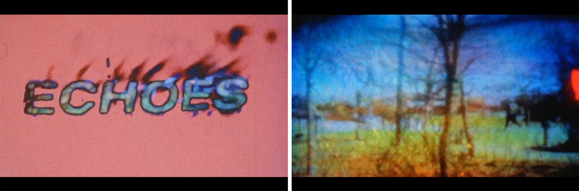 Images from the film: dark pink background with ECHOES in blue burning letters and soft image of trees