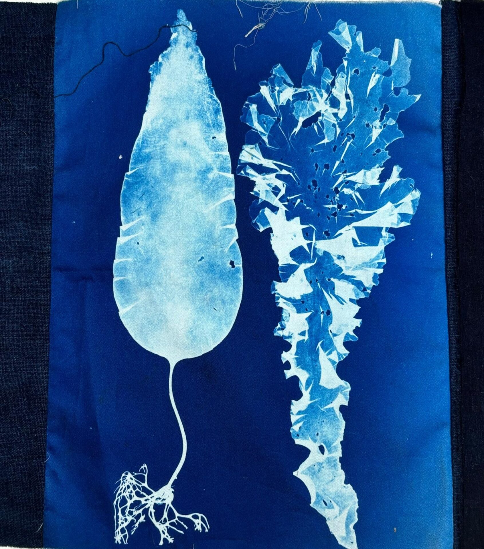 Blue and white print of seaweed